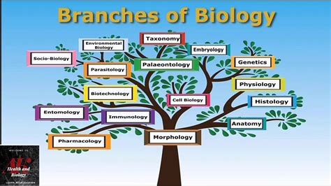 Branches of biology class 9th lecture 2 | Health & Biology - YouTube