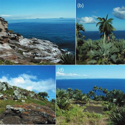 Landscapes of Round Island, Mauritius: (a) Basaltic coastal rock carved ...