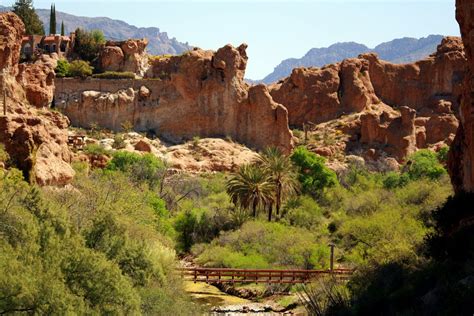 Boyce Thompson Arboretum, one of my grandmothers favorite places to visit. | Landscape ...