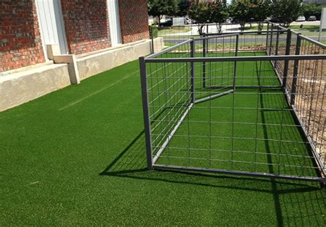 Why Artificial Turf Is Ideal for Dog Kennels - DFW Turf Solutions