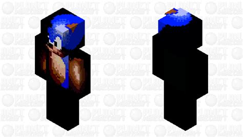 sonic stares meme Minecraft Skin