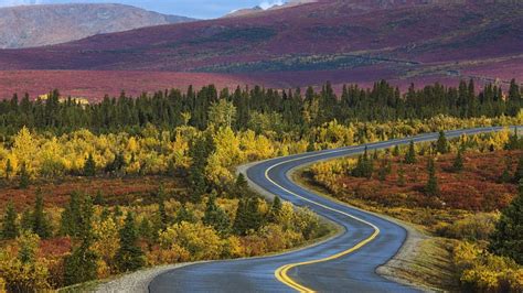 The Long and Winding Road, people, entertainment, nature, technology, other, HD wallpaper | Peakpx