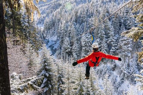 5 BEST Ziplining Tours in Whistler + Pros and Cons of Each Tour