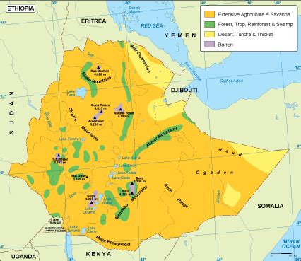 Ethiopia vegetation map | Order and download Ethiopia vegetation map