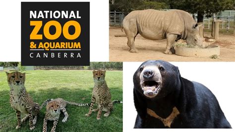 National Zoo and Aquarium in Canberra - YouTube