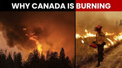 Canada Wildfire I What's Causing Forest Fires In Canada - YouTube