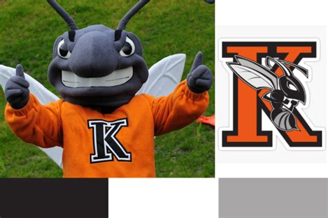 Kalamazoo college Mascot, Name, Colors, Logo, History, Costume