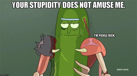 Pickle Rick Meme Template