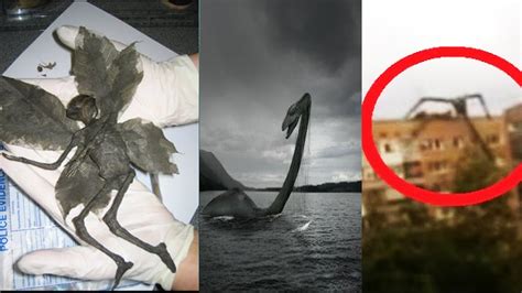 5 mysterious creatures seen around the world!!(Photos) - Infinity Explorers