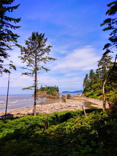 Ruby Beach, Olympic National Park: everything you need to know ...