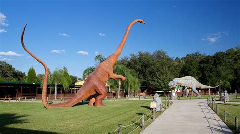 Vacation Homes near Dinosaur World, Plant City: House Rentals & More | Vrbo