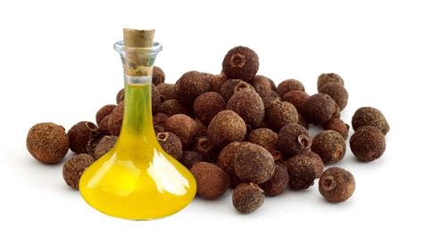 The Health Benefits of Allspice Oil