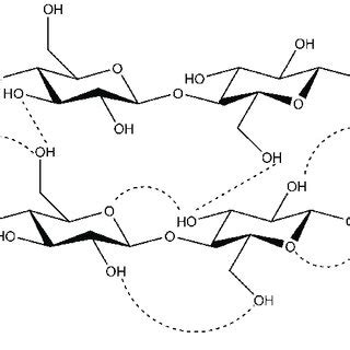 Intra-and intermolecular hydrogen bonds in cellulose. | Download ...