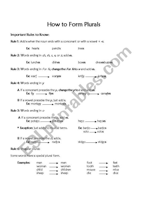 Plural Rules and Worksheet - ESL worksheet by heidilynn26