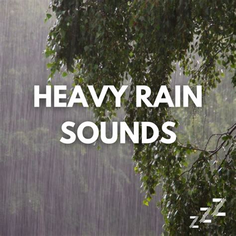 Stream Heavy Rain Sounds for Sleep | Listen to 1 Hour of Heavy Rain ...