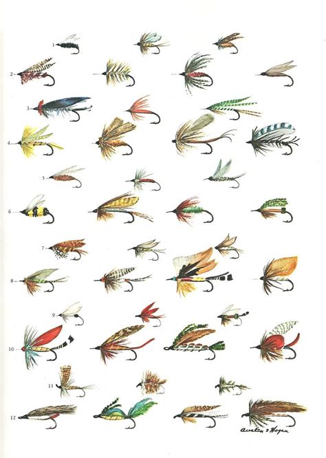 flies | Flickr - Photo Sharing! | Fly fishing art, Fly fishing, Fish art