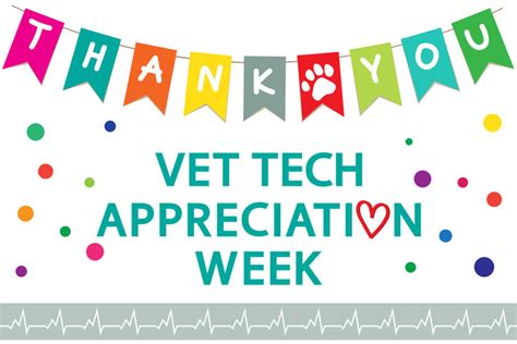 Vet Tech Appreciation Week - Bristol Veterinary Service