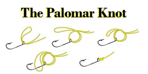 How to tie the Palomar Knot for Offshore Fishing in Panama