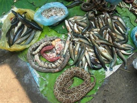 What do they eat in Cambodia? A market in Cambodia in photos.