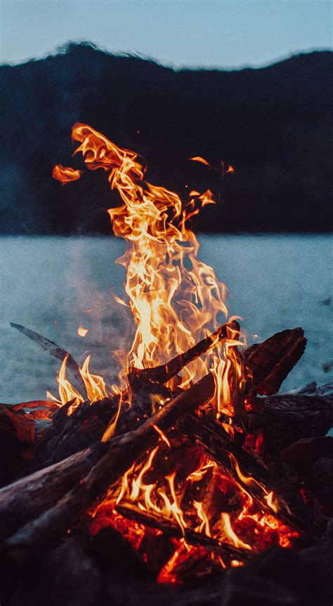 Fire, camping, flame, forest nature, wood, HD phone wallpaper | Peakpx