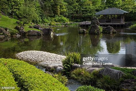 77 Shizuoka Castle Stock Photos, High-Res Pictures, and Images - Getty ...