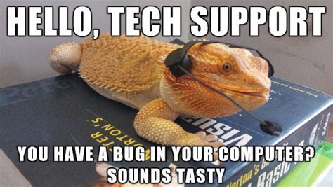 11 Must-See Bearded Dragon Memes That'll Brighten Your Day!
