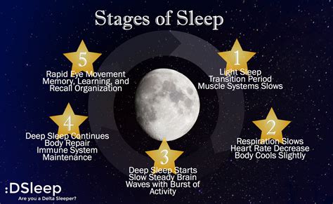 Maximize Your Sleep: Stages Of Sleep and the SR1 by SomniResonance®