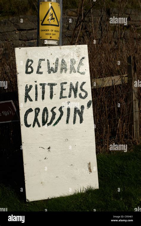 Funny Kitten crossing sign Stock Photo - Alamy