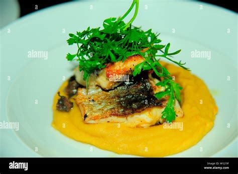 Food in Tel Aviv Stock Photo - Alamy