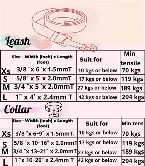 Dog Leash Length A Quick Overview