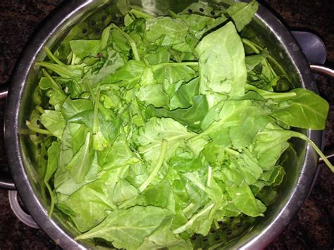 spinach-for-iron | Natural Oils for Hair & Beauty