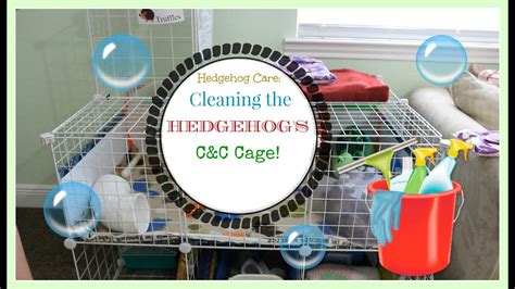 Hedgehog Care: Cleaning The Hedgehog's C&C Cage - YouTube