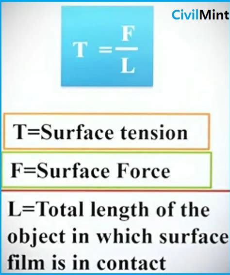 What is Surface Tension | Definition of Surface Tension, Examples and Test