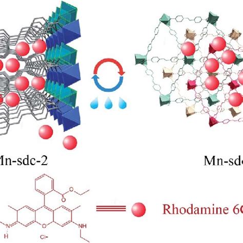 Schematic illustration of the entrapment of the dye Rhodamine 6G into... | Download Scientific ...