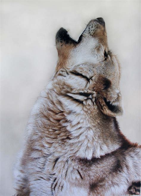 Carla Grace Art Colouring Pencil on paper Grey Wolf Howling | Grace art ...