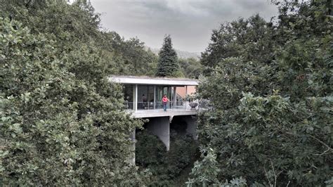 Casa treetop / João Marques Franco | ArchDaily Perú