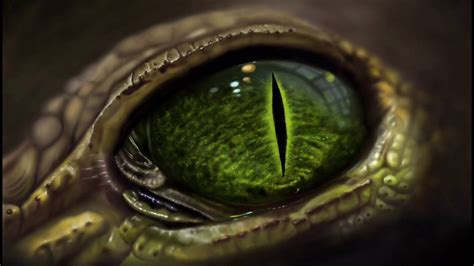 Free photo: Lizard Eye - Eye, Lizard, Reptile - Free Download - Jooinn