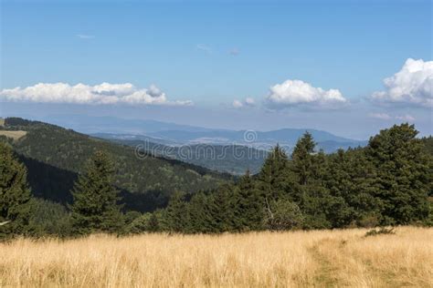 Summer Polish Landscape in Sudety Mountains Stock Image - Image of outdoors, place: 59778701