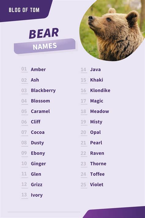 Bear Names (661 Best, Funny, Cute, & Famous Ideas) | Bear names, Polar bear names, Names for ...