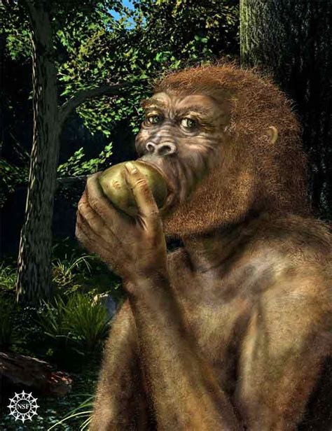 Top 10 Mysteries of the First Humans | Ancient humans, Human evolution, Human species