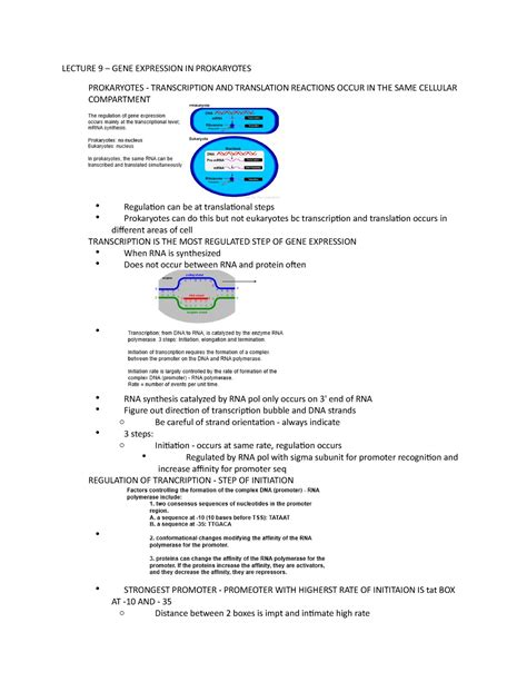 LEC 9 GENE EXPRESSION IN PROKARYOTES - LECTURE 9 – GENE EXPRESSION IN PROKARYOTES PROKARYOTES ...