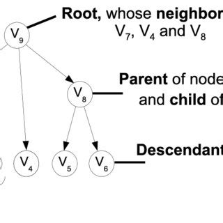 Illustration of graph theory terminology. | Download Scientific Diagram