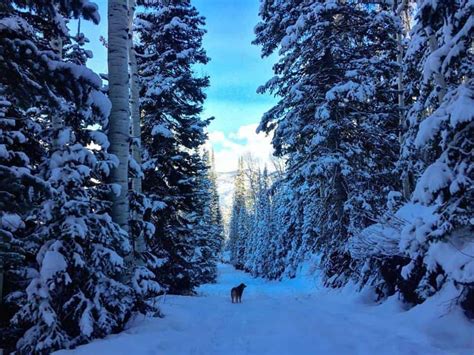 15 Incredible Winter Hikes in Colorado - Mike & Laura Travel