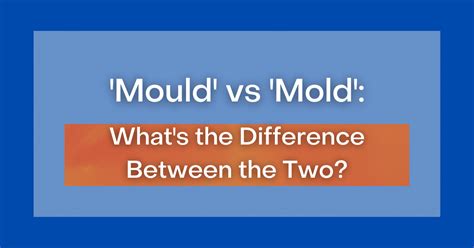 'Mould' vs 'Mold': What's the Difference Between the Two?