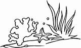 Free Seaweed Drawings Coloring Pages Sketch Coloring Page sketch template
