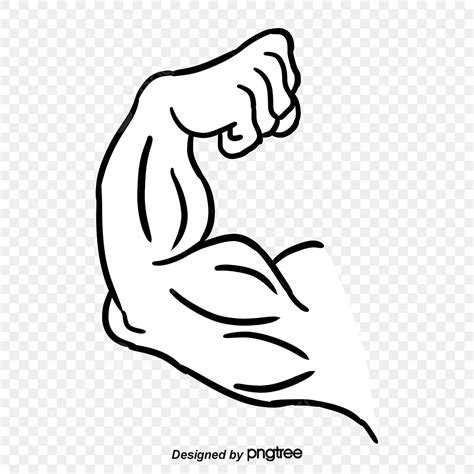 Free Muscle Clipart