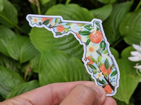 Florida State Floral Watercolor Map Design Sticker. Vinyl | Etsy