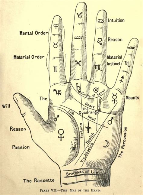 SAME DAY Palmistry Vedic Reading - Etsy