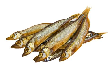 Fish, bloater stock photo. Image of appetizer, dinner - 10021344