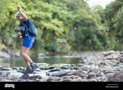 Hiker walking among stones in shallow stream, Waima Forest, North Island, NZ Stock Photo - Alamy